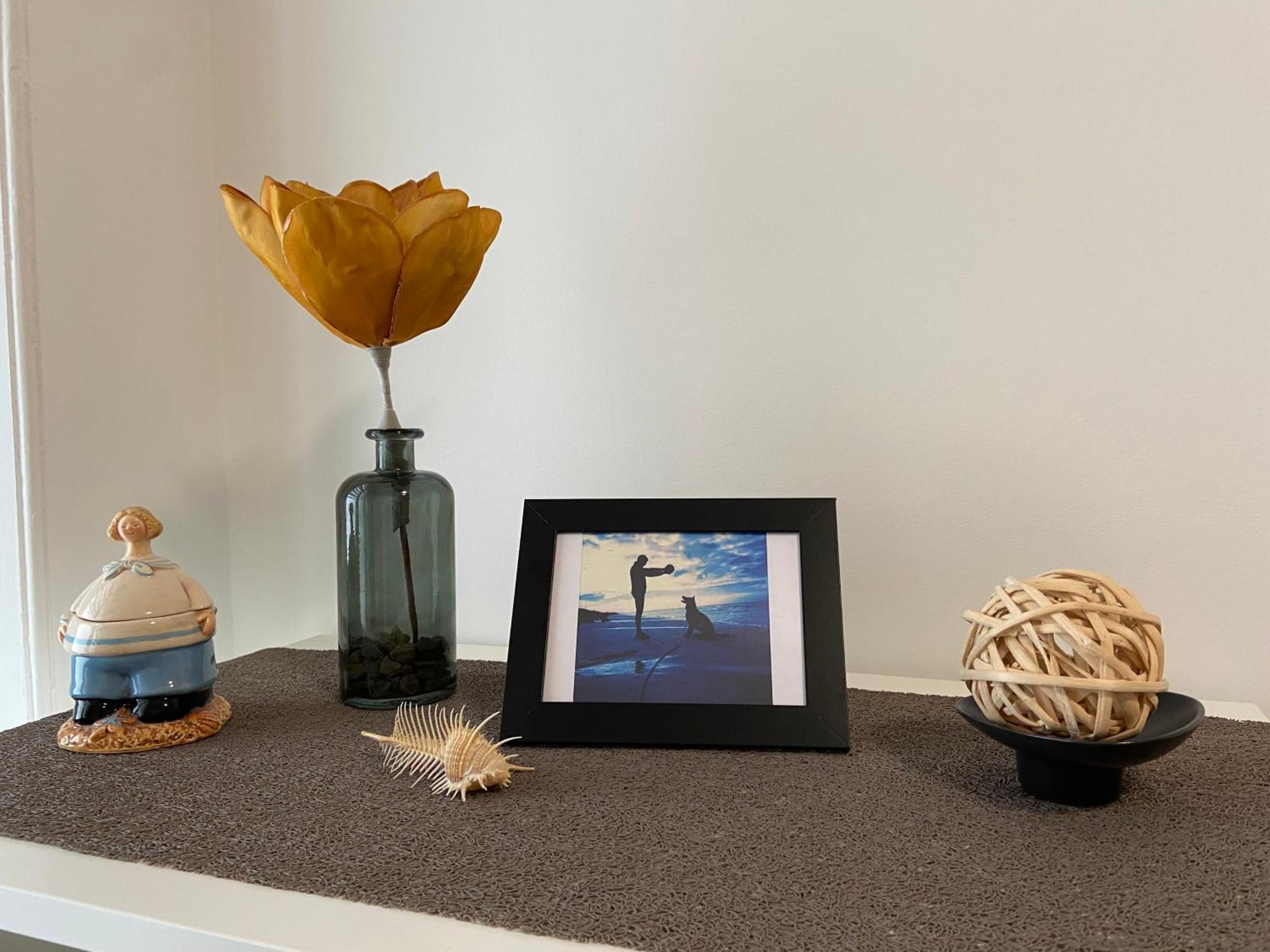 "Appartement Sur Digue" Proche De La Plage Avec Wifi Wimereux Eksteriør billede